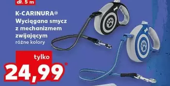 Wyciągana smycz z mechanizmem zwijającym