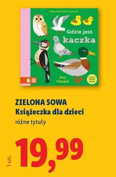 Kay - Książeczka dla dzieci