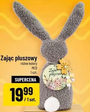 Zając pluszowy