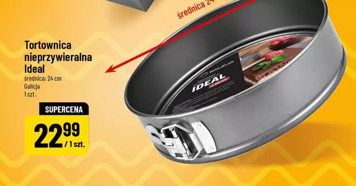 Tortownica nieprzywieralna Ideal