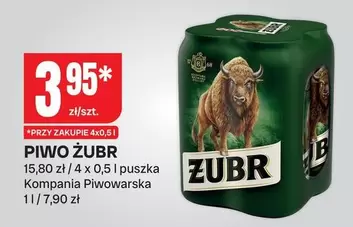 ŻUBR
