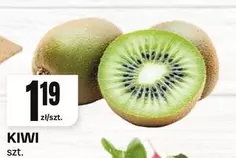 KIWI