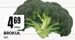 BROKUŁ