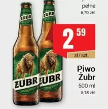 Żubr