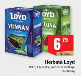 Herbata Loyd