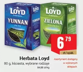 Herbata Loyd