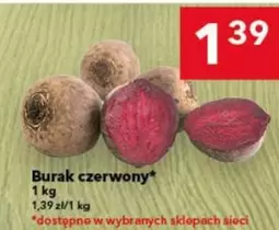 Burak czerwony
