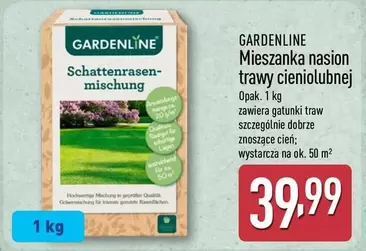 Ok - Mieszanka nasion trawy cieniolubnej