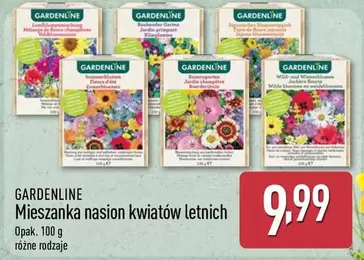 Mieszanka nasion kwiatów letnich