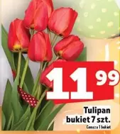 Tulipan - bukiet