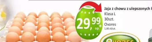 Jaja z chowu z ulepszonych