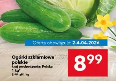 Ogórki szklarniowe polskie