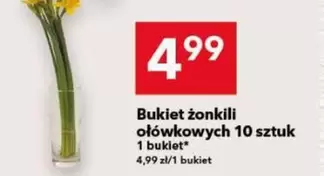 Bukiet żonkili ołówkowych