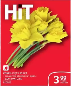 ŻONKIL CIĘTY 10 SZT.