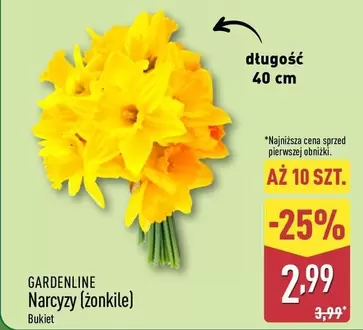 Narcyzy (żonkile) Bukiet