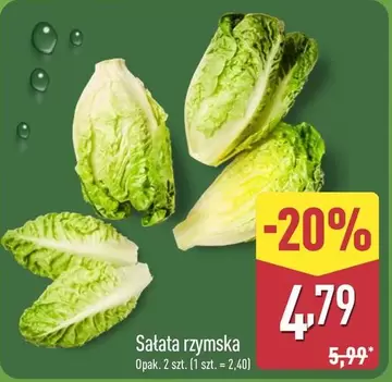 Sałata rzymska