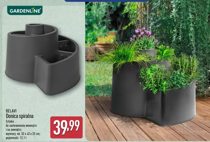 Ok - Donica spiralna