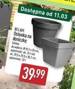Ok - Ostonka na doniczkę