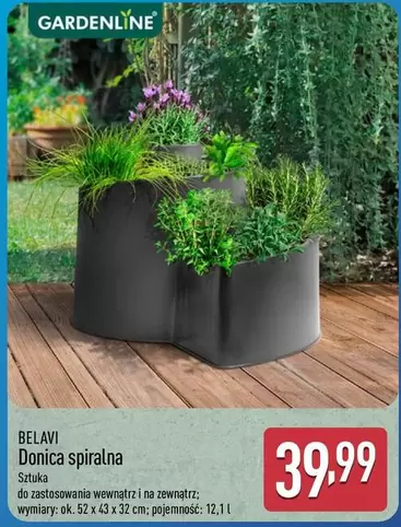 Ok - Donica spiralna