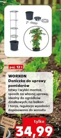 Doniczka do uprawy pomidorów