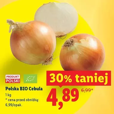 Polska BIO Cebula