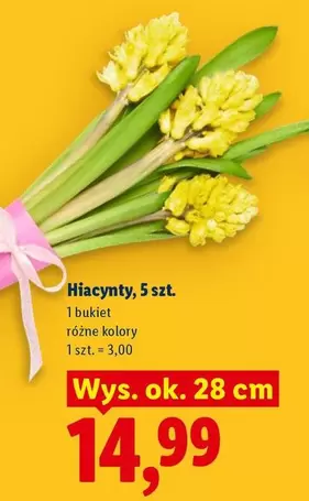 Ok - Hiacinty