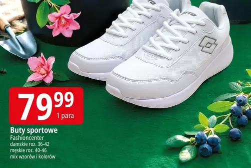 Lotto - Buty sportowe