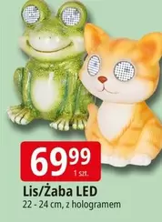 Lis/Żaba LED