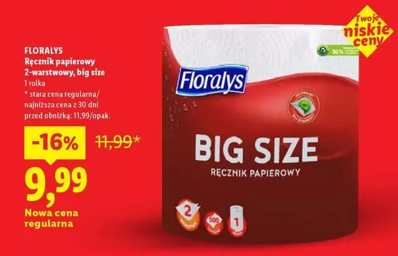 Ręcznik papierowy, 2-warstwowy, big size