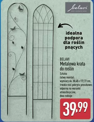 Ok - Metalowa krata do roślin