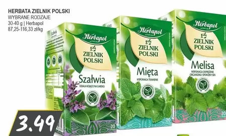 HERBATA ZIELNIK POLSKI