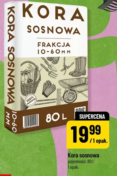 Mm - Kora sosnowa