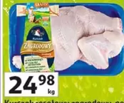 Kurażek niegotowy zagrodowy