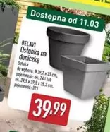 Ok - Ostonka na doniczkę