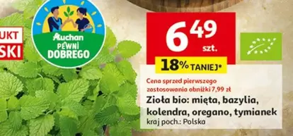 Zioła bio: mięta, bazylia, kolendra, oregano, tymianek