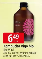 Kombucha Vigo bio