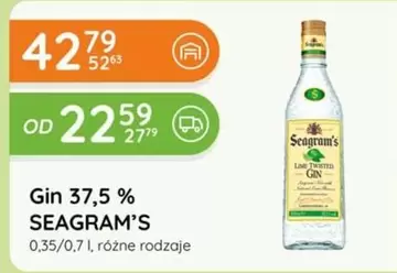 Gin
