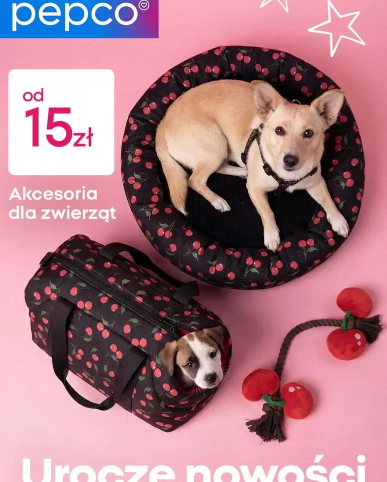 Akcesoria dla zwierząt