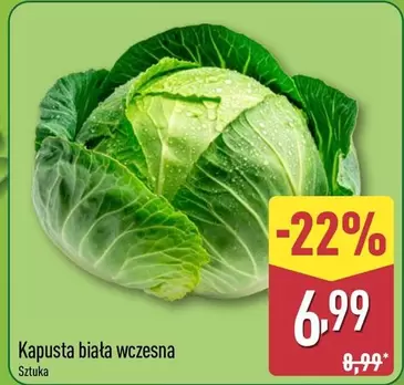 Kapusta biała wczesna
