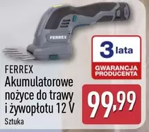 Akumulatorowe nożyce do trawy i żywopłotu 12 V