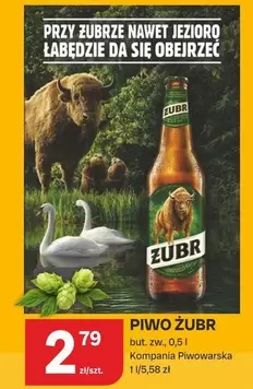 PIWO ŻUBR