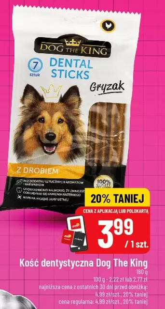 Polo - Kosc dentystyczna