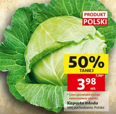 Kapusta młoda