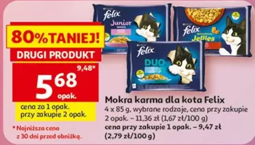 Mokra karma dla kota