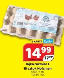 Jajka rozmiar L