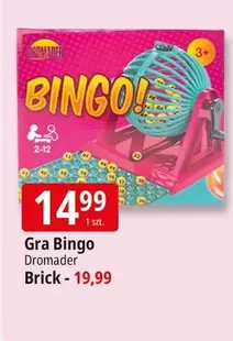 Gra Bingo