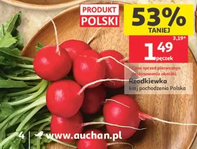 Rzodkiewka