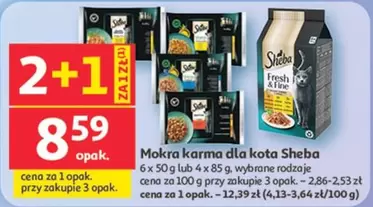 Mokra karma dla kota