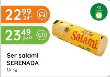 Ser salami