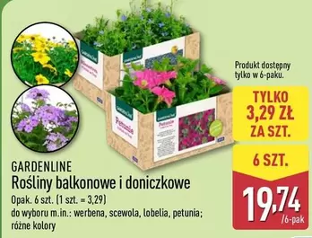 Rośliny balkonowe i doniczkowe